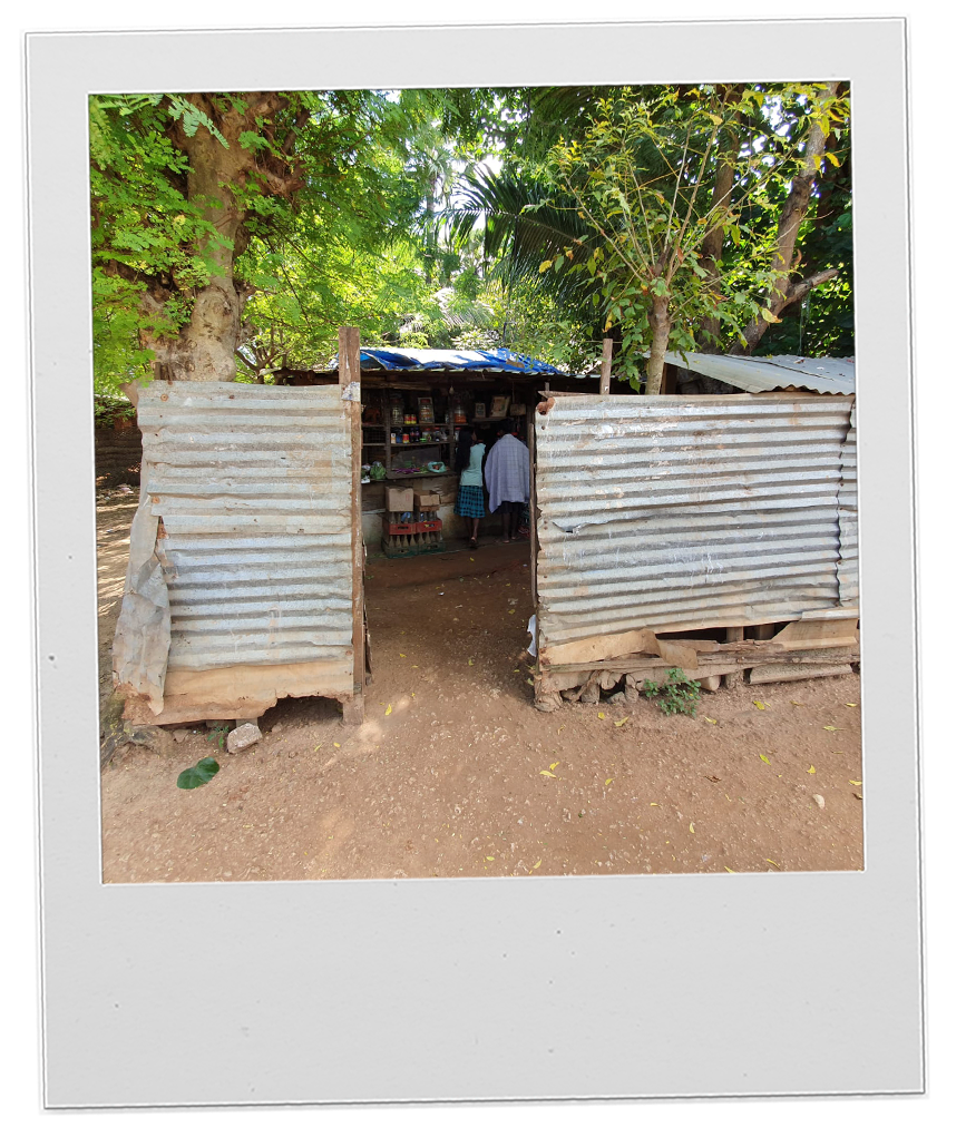 Country - Sri Lanka polaroid 1