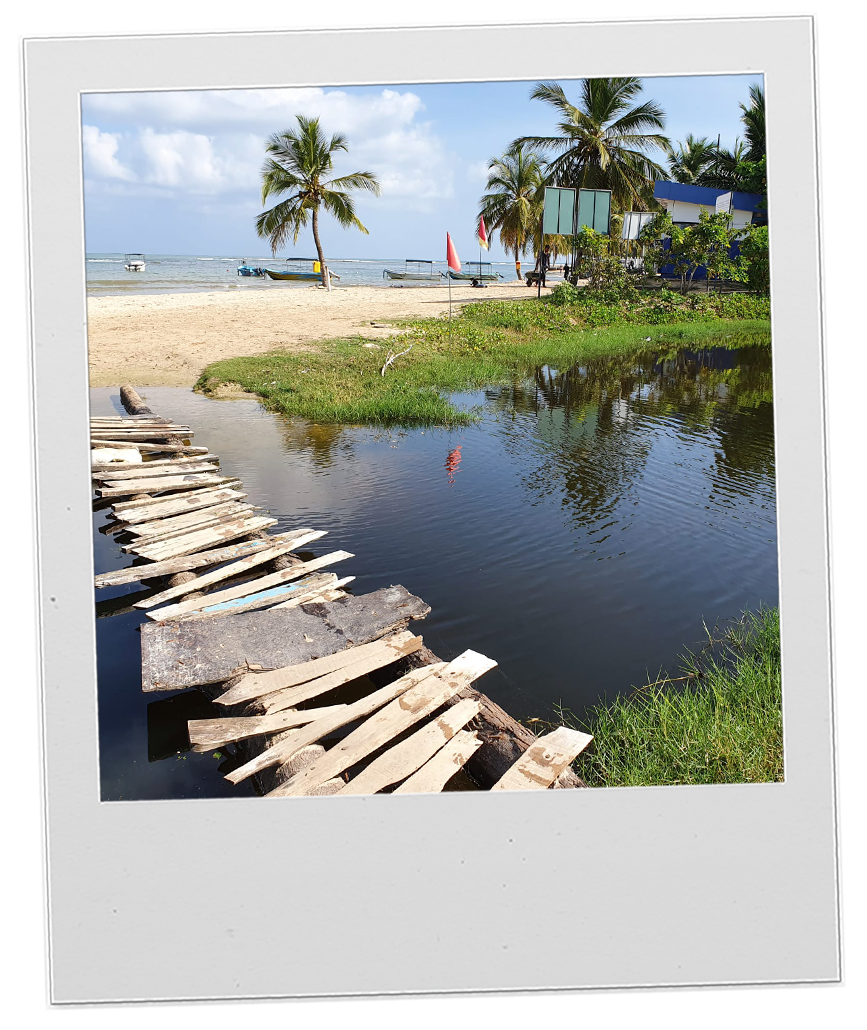 Country - Sri Lanka polaroid 3