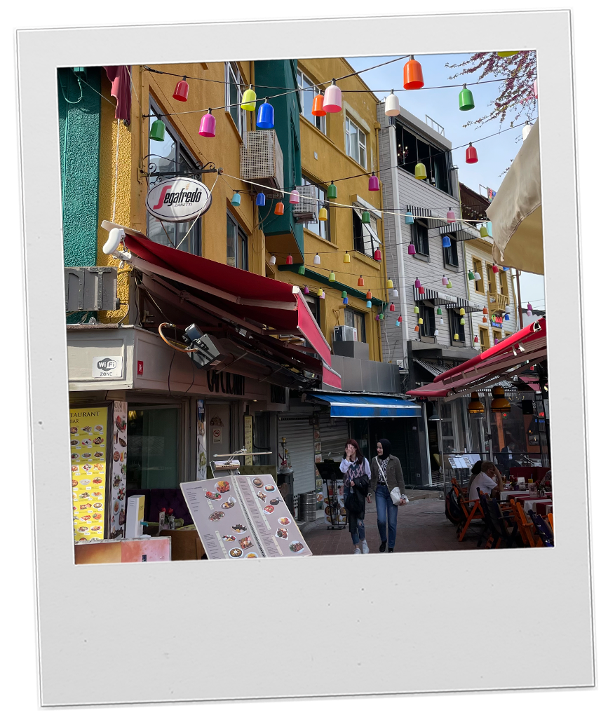 Country - Turkey polaroid 2_