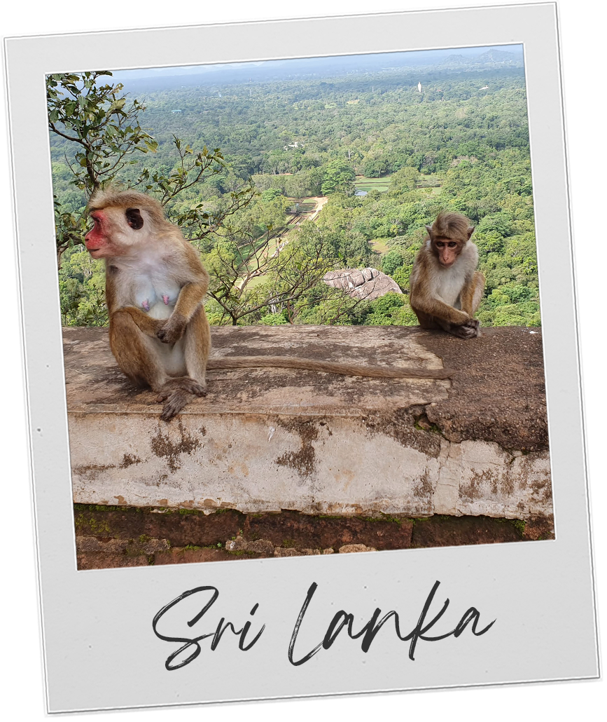 Country button pola - sri lanka