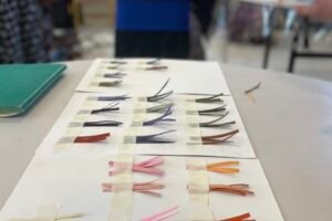 Shade and Colour Cards