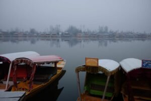 Shikara, Srinagar, Kashmir, India Shikara, Srinagar, Kashmir, India